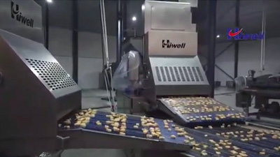 Automatic Fish Nugget and Chicken Nugget Production Line